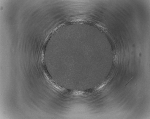 X0000057090767200509091313