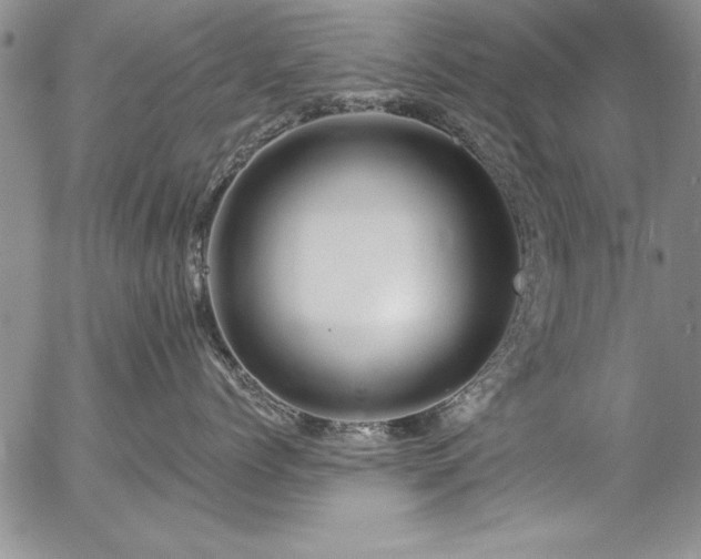 X0000057090768200509091313