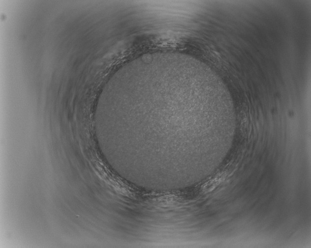 X0000057090769200509091312