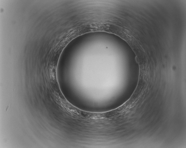 X0000057090770200509091312