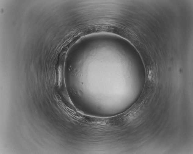 X0000057090771200509091312