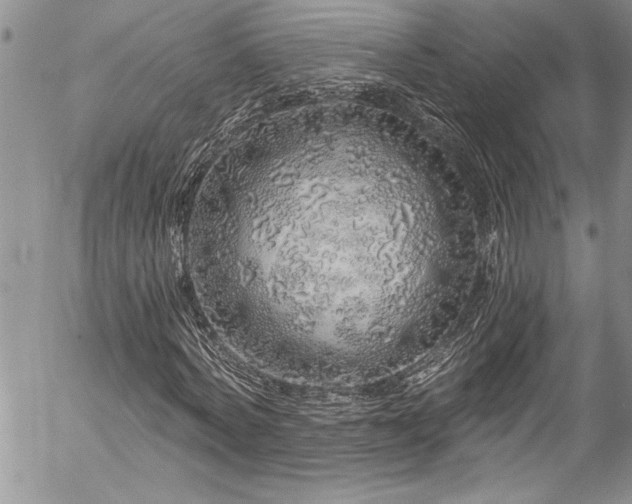 X0000057090772200509091312