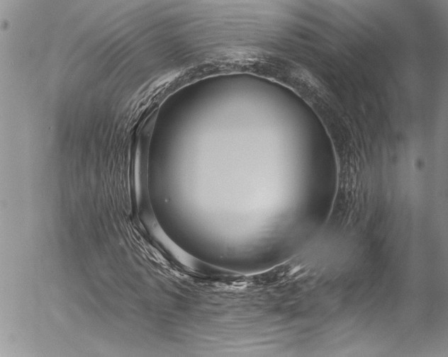 X0000057090773200509091312