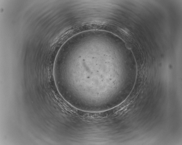 X0000057090774200509091312