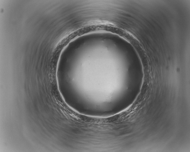 X0000057090775200509091312