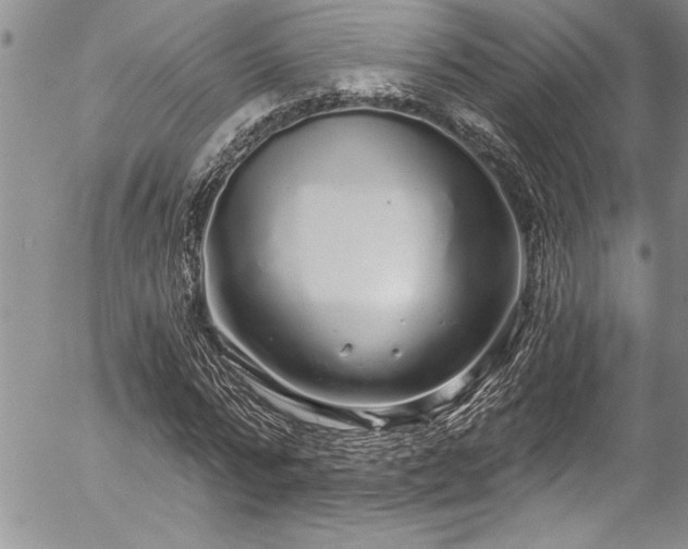 X0000057090776200509091312