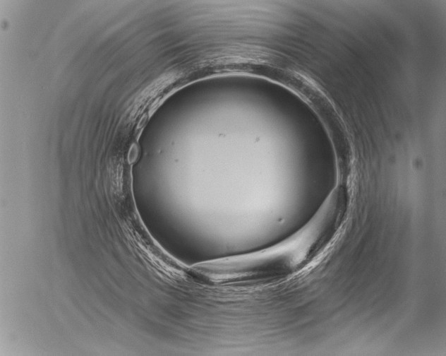 X0000057090777200509091312