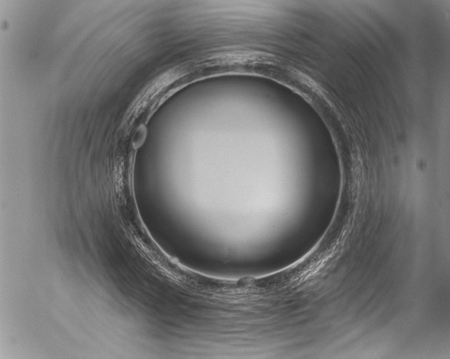 X0000057090778200509091312