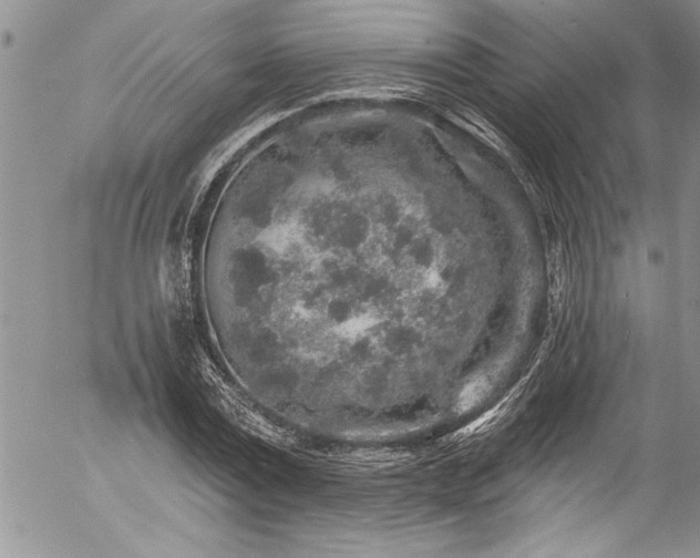 X0000057090779200509091312