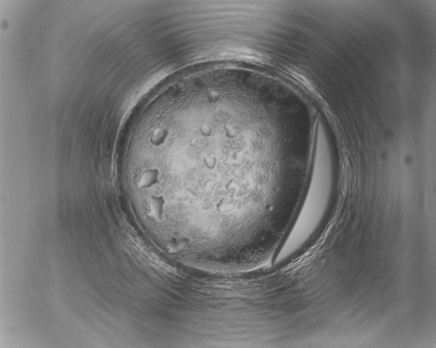 X0000057090780200509091312