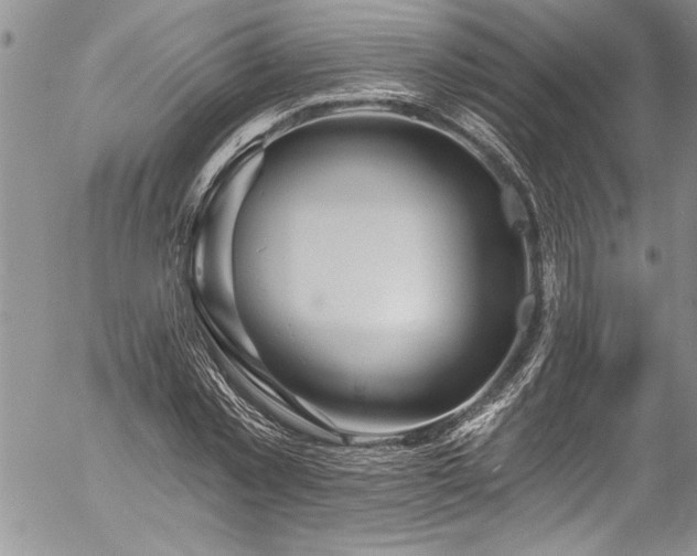 X0000057090781200509091312