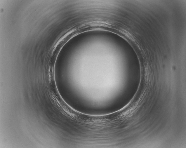 X0000057090782200509091312