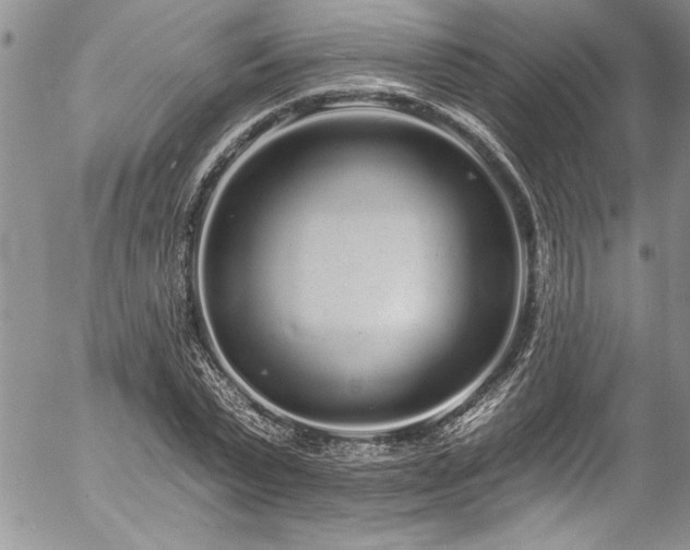 X0000057090783200509091312