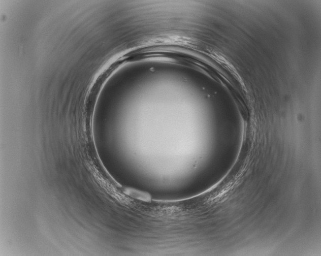 X0000057090784200509091312