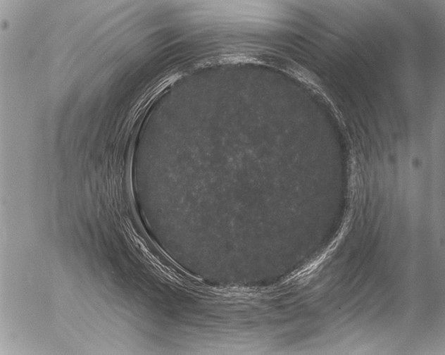 X0000057090785200509091312