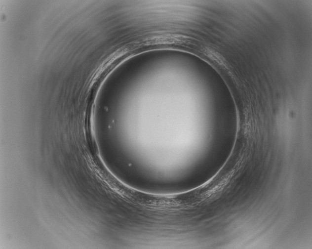 X0000057090786200509091312