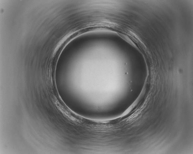 X0000057090788200509091312