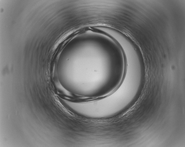 X0000057090789200509091312