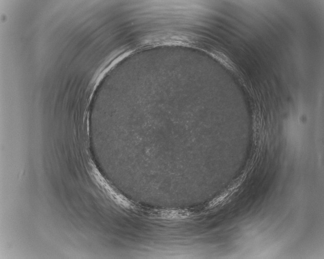 X0000057090790200509091312