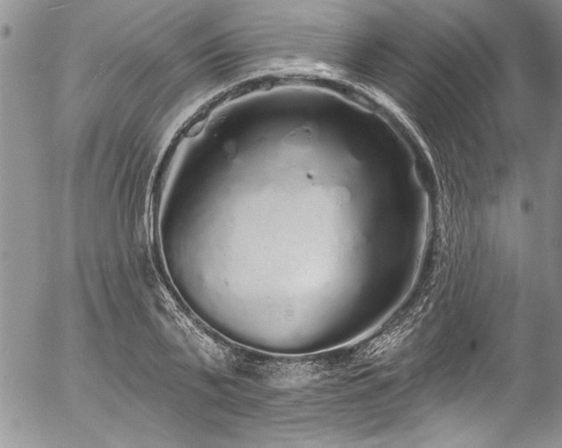 X0000057090791200509091312