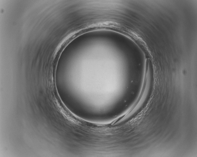 X0000057090792200509091312