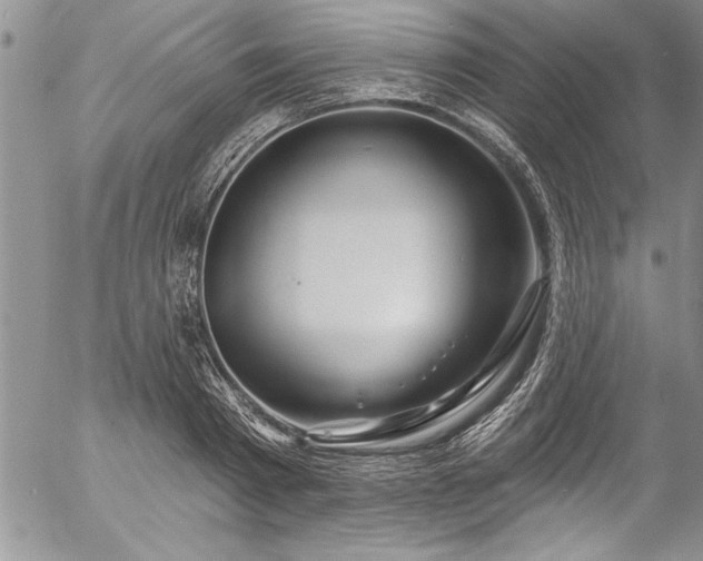 X0000057090793200509091312