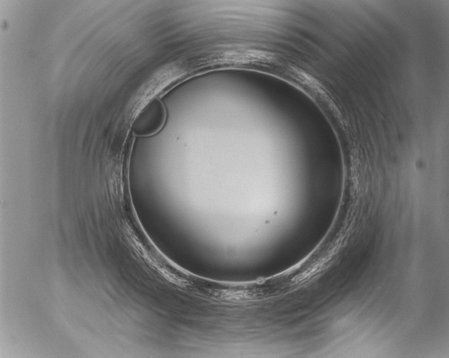 X0000057090794200509091312