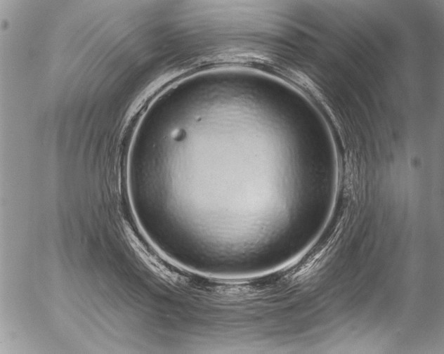 X0000057090795200509091312