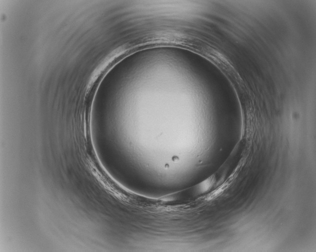 X0000057090796200509091312