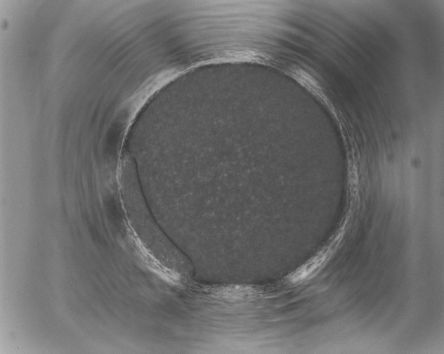 X0000057090797200509091312