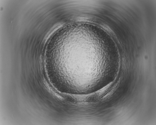 X0000057090798200509091312