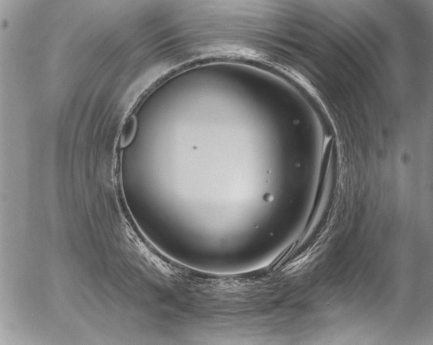 X0000057090799200509091312