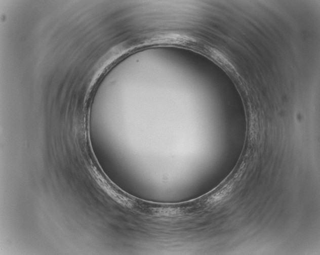 X0000057090800200509091312