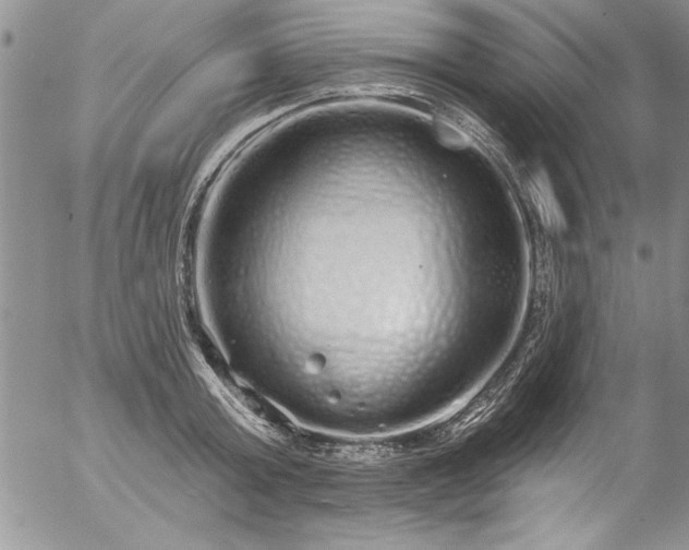 X0000057090803200509091312