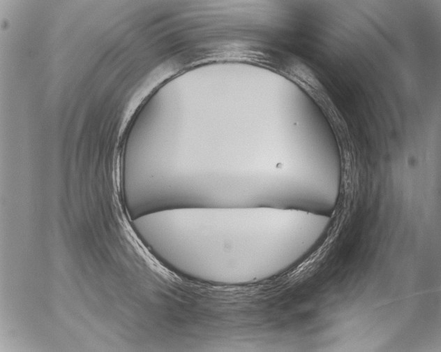 X0000057090804200509091312