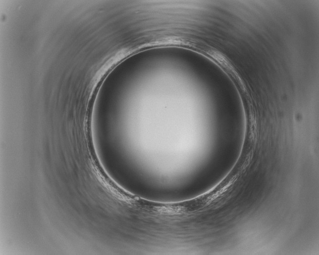 X0000057090805200509091312