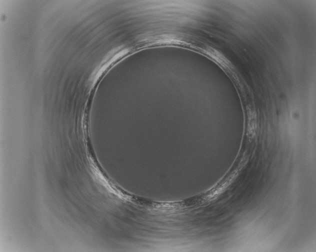 X0000057090806200509091312