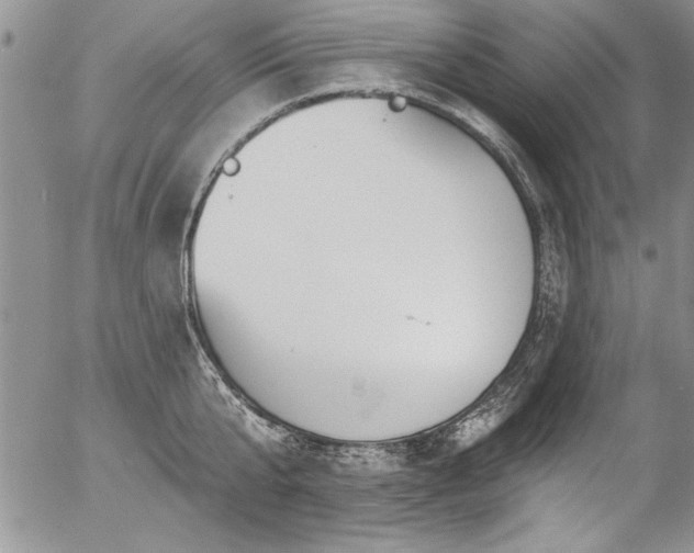 X0000057090807200509091312