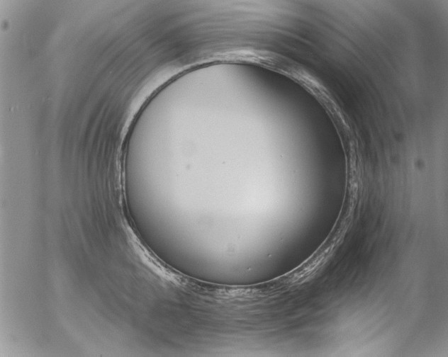 X0000057090808200509091312