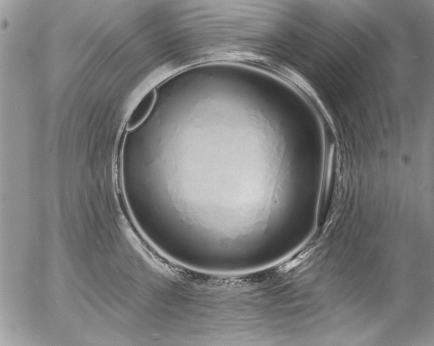 X0000057090811200509091312