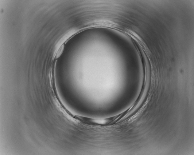 X0000057090812200509091312