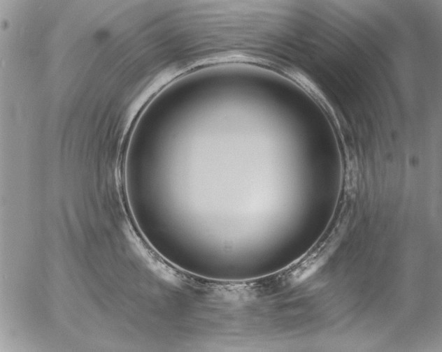 X0000057090813200509091312