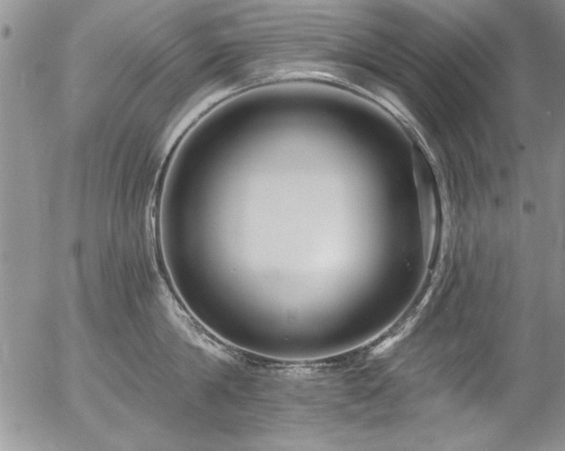 X0000057090814200509091312