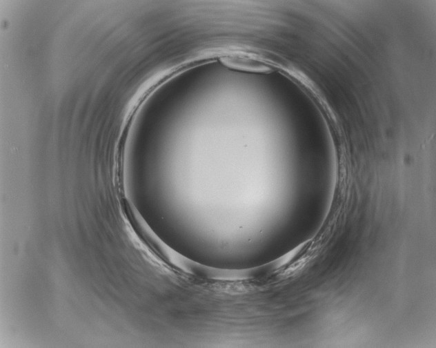 X0000057090815200509091312