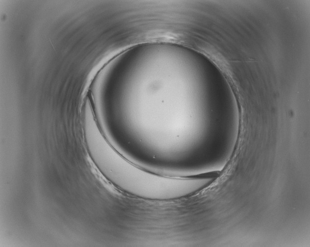 X0000057090816200509091312