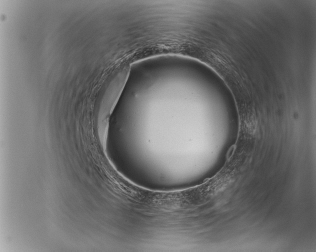 X0000057090817200509091311