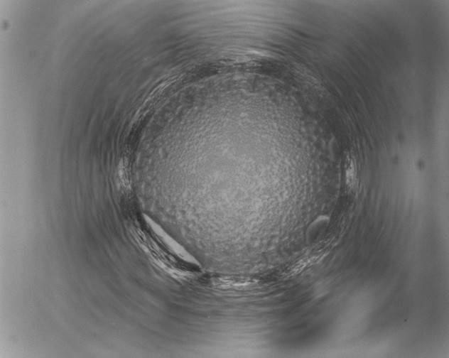 X0000057090819200509091311