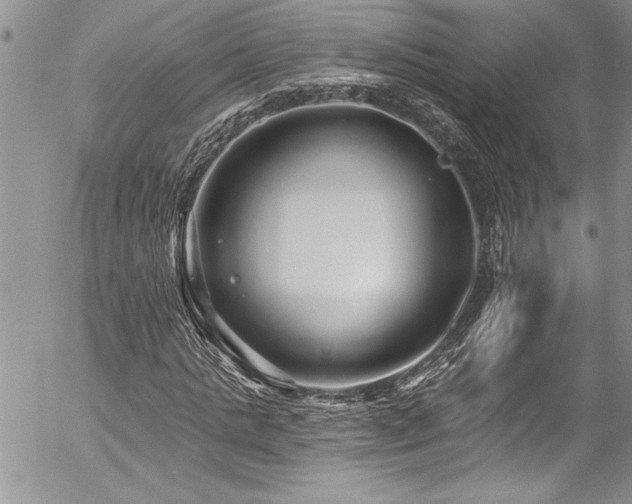 X0000057090821200509091311