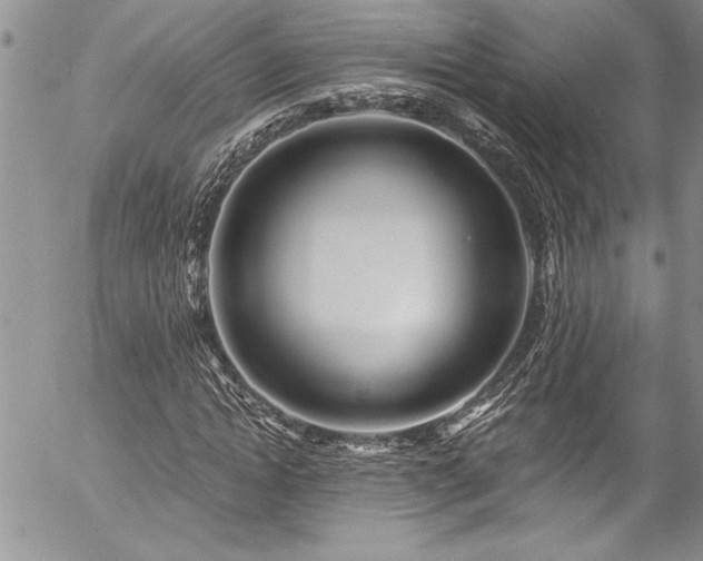 X0000057090822200509091311