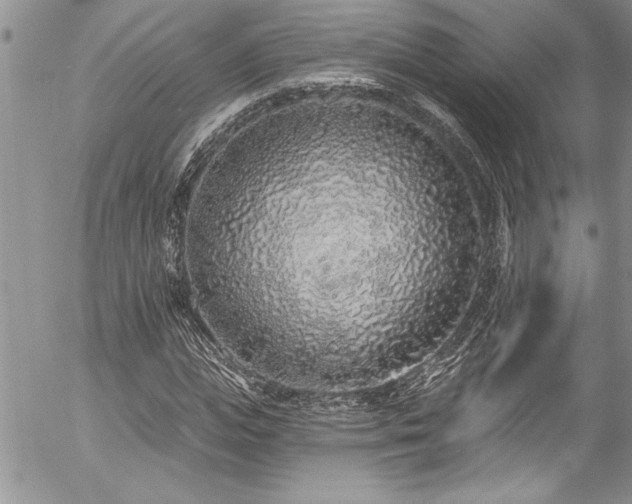 X0000057090823200509091311